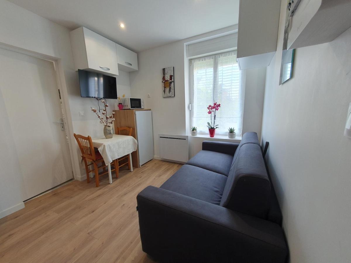Appart'Hotel, Ikimo 5 Appartements Entiers A Votre Disposition Au Choix น็องซี ภายนอก รูปภาพ