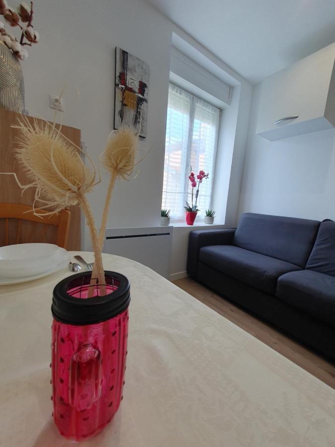 Appart'Hotel, Ikimo 5 Appartements Entiers A Votre Disposition Au Choix น็องซี ภายนอก รูปภาพ