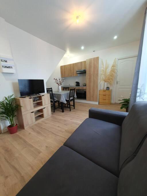 Appart'Hotel, Ikimo 5 Appartements Entiers A Votre Disposition Au Choix น็องซี ภายนอก รูปภาพ