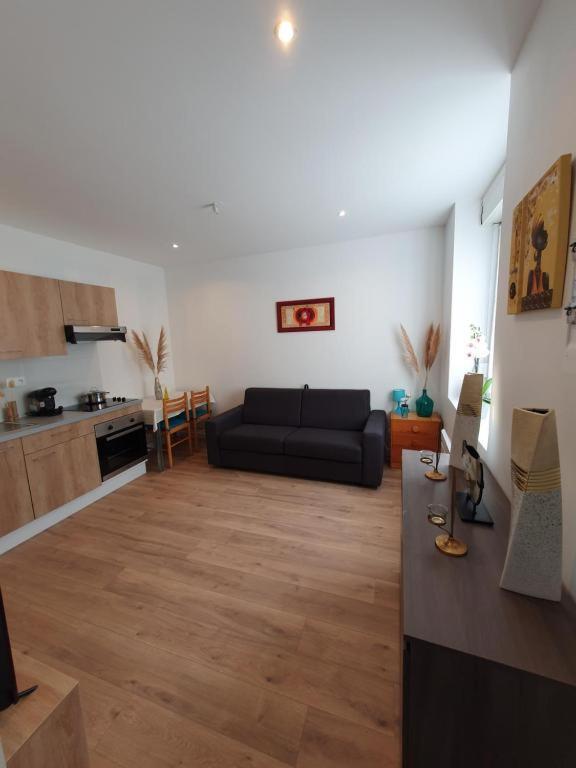 Appart'Hotel, Ikimo 5 Appartements Entiers A Votre Disposition Au Choix น็องซี ภายนอก รูปภาพ