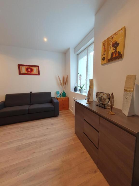 Appart'Hotel, Ikimo 5 Appartements Entiers A Votre Disposition Au Choix น็องซี ภายนอก รูปภาพ