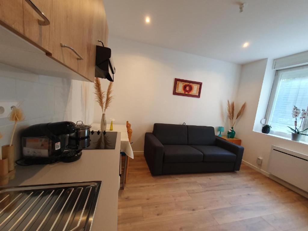 Appart'Hotel, Ikimo 5 Appartements Entiers A Votre Disposition Au Choix น็องซี ภายนอก รูปภาพ