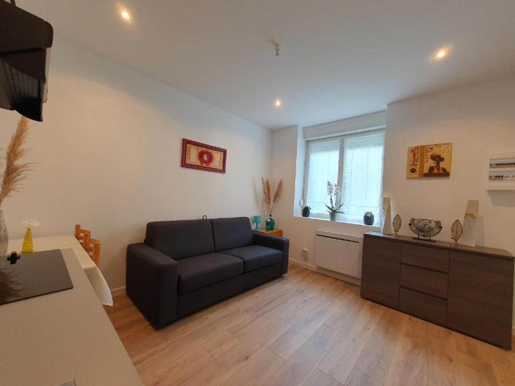 Appart'Hotel, Ikimo 5 Appartements Entiers A Votre Disposition Au Choix น็องซี ภายนอก รูปภาพ