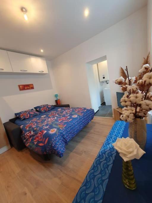 Appart'Hotel, Ikimo 5 Appartements Entiers A Votre Disposition Au Choix น็องซี ภายนอก รูปภาพ