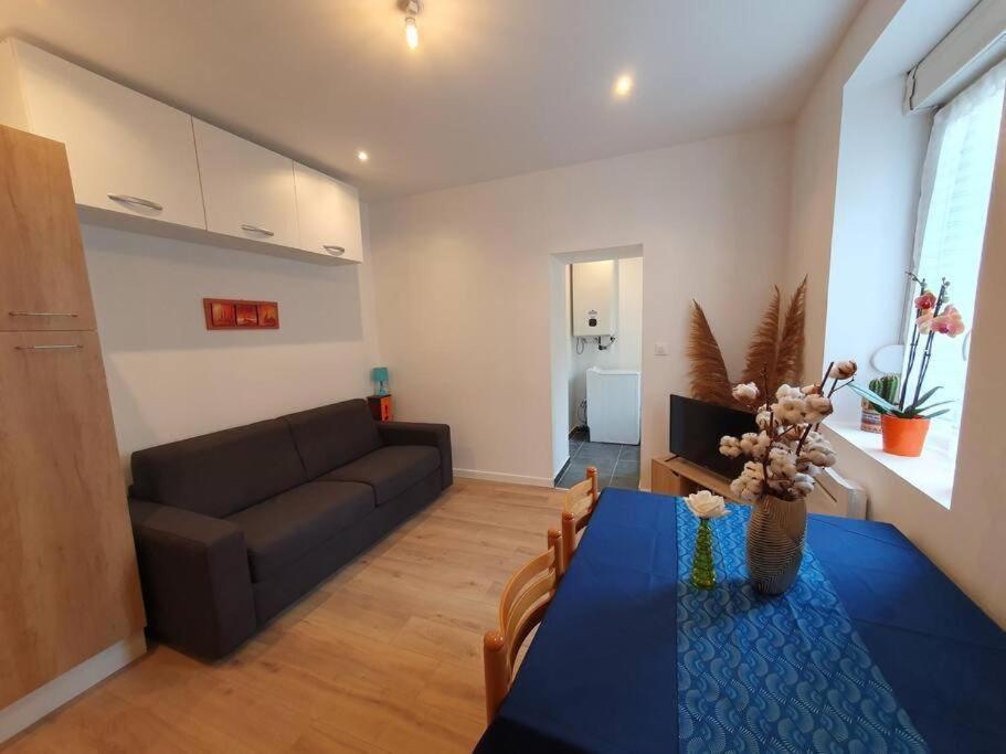 Appart'Hotel, Ikimo 5 Appartements Entiers A Votre Disposition Au Choix น็องซี ภายนอก รูปภาพ