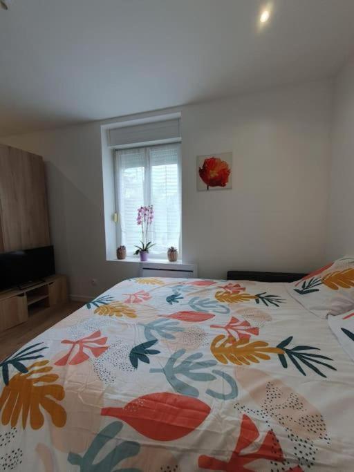 Appart'Hotel, Ikimo 5 Appartements Entiers A Votre Disposition Au Choix น็องซี ภายนอก รูปภาพ