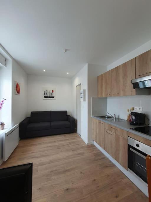 Appart'Hotel, Ikimo 5 Appartements Entiers A Votre Disposition Au Choix น็องซี ภายนอก รูปภาพ